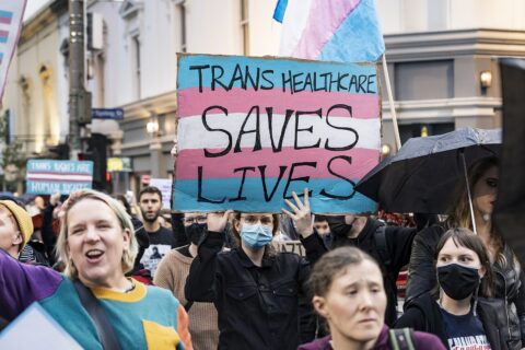 Image of a protester holding up a sign painted like the transgender flag with the words "Trans Healthcare Saves Lives" written on it