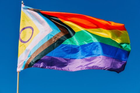 image of a flying progress pride flag containing the intersex pride flag