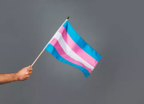 An image of the hand of an unseen person holding the transgender pride flag